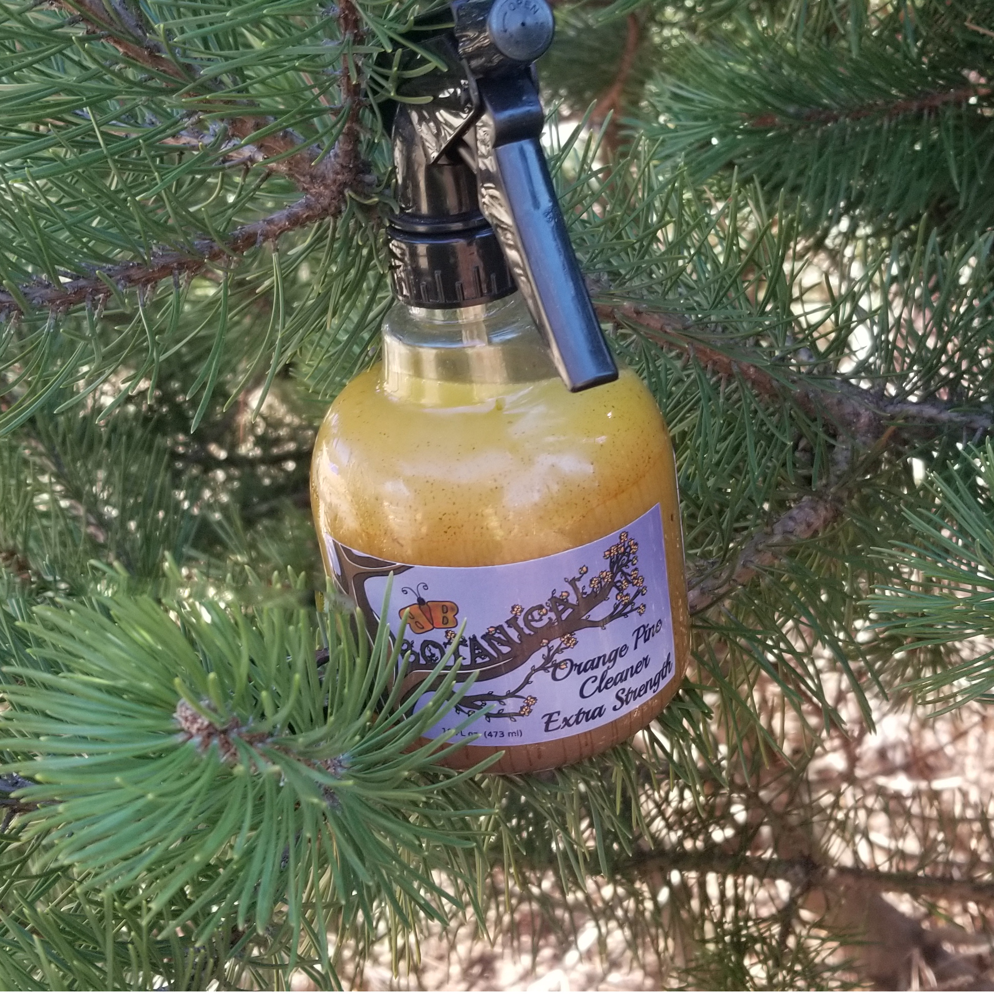 esOrangePine2.jpeg